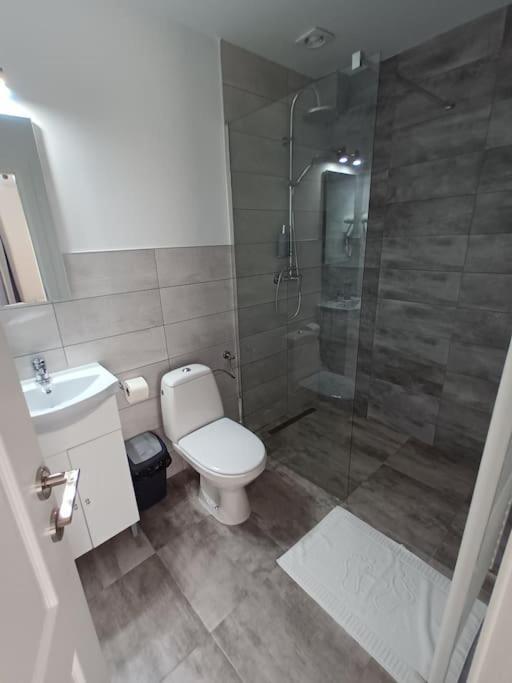 Old Town Studio 2 Apartment Nr 4 Baia Mare Exterior photo