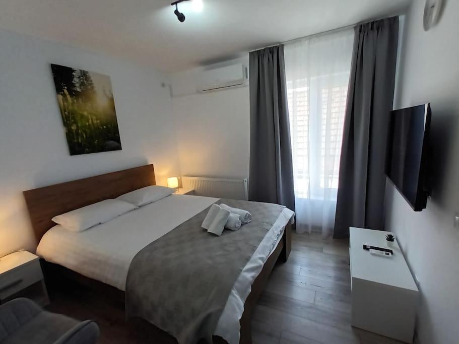 Old Town Studio 2 Apartment Nr 4 Baia Mare Exterior photo