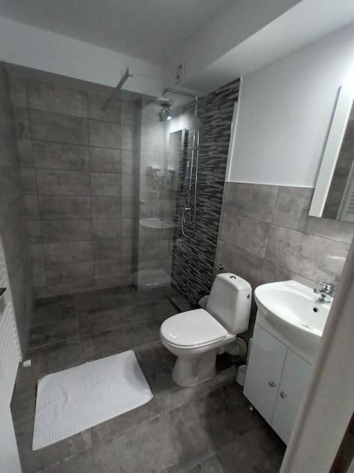 Old Town Studio 2 Apartment Nr 4 Baia Mare Exterior photo