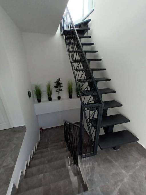 Old Town Studio 2 Apartment Nr 4 Baia Mare Exterior photo